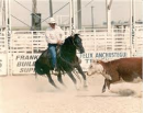 Cutting Horse working cattle in arena.